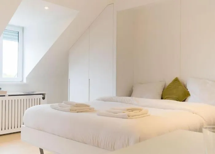 Fischer A La Petrusse 302 アパート *